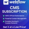 Webflow CMS sobscription – AI Power Solutions