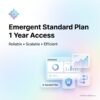 Emergent standard plan - one year – AI Power Solutions